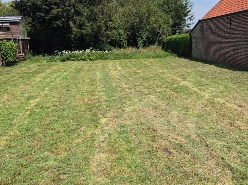 Terrain à vendre
                    à 8551 Heestert